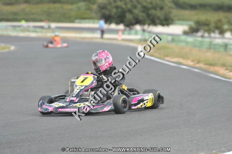 DSC (3869).JPG